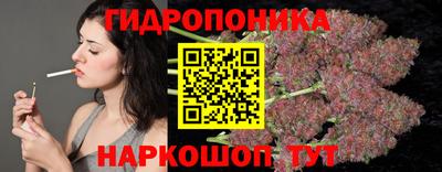 дмт Пенза