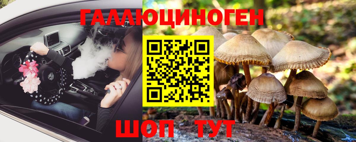 Галлюциногенные грибы Cubensis  Псилоцибиновые грибы MAGIC MUSHROOMS  Вход с VPN  Советск 